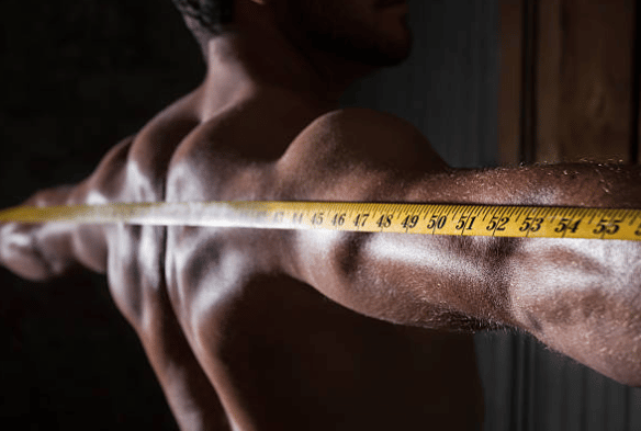 남성 평균 어깨 넓이 측정법