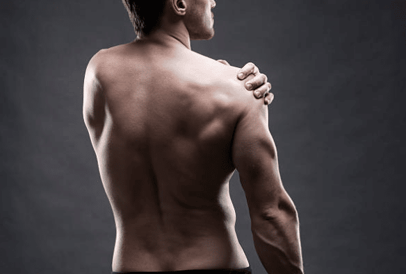 남성 평균 어깨